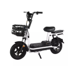 Electric Bike Manufacturer - 350W Integrated Battery