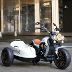Electric Motorcycle Manufacturer - Anti Rollover Unisex