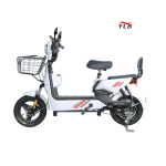 Electric Bike Factory - 350W Folding Two-Wheel