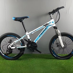 Electric Mountain Bike Manufacturer - 26 Inch Fat Tyre