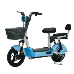 Electric City Bike Factory - 48V LCD Display Commute