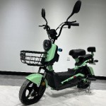 Electric Tricycle Factory - Closed Cargo Shed Load