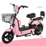 Electric Bike Manufacturer - 48V Long Range 2 Seats