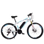 Electric Mountain Bike Factory - Folding Double Shock