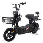 Electric Bicycle Manufacturer - 48V12AH 350W Popular