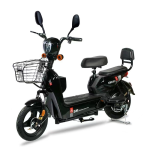 Electric Bicycle Manufacturer - Two Wheeled Adult Leisure
