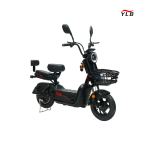 Electric Folding Bike Factory - 1000W Fat Tire Adult