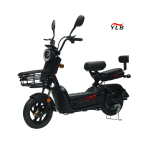 Electric City Bike Factory - 48V Steel Frame Single Speed