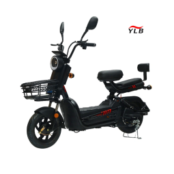 Electric City Bike Factory - 48V Steel Frame Single Speed