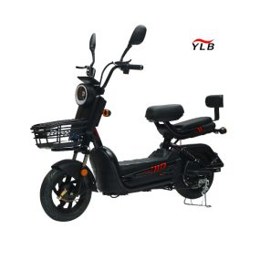 Electric City Bike Factory - 48V Steel Frame Single Speed