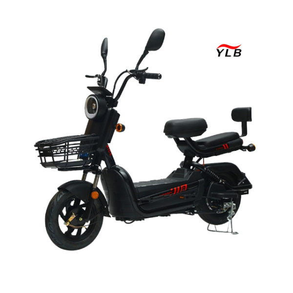 Electric City Bike Factory - 48V Steel Frame Single Speed