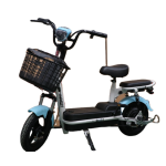 Electric Bike Manufacturer - 20 Inch Four Speed