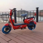 Electric Bicycle Manufacturer - Two Person Self-propelled