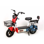 Electric Bicycle Manufacturer - New Design Motor