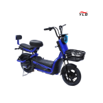 Electric Folding Bike Factory - 1000W Fat Tire Adult