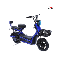 Electric Folding Bike Factory - 1000W Fat Tire Adult