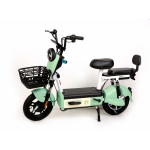 Electric Bicycle Manufacturer - New Design Motor