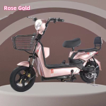 Electric Bike Manufacturer - 48V Long Range 2 Seats