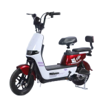 Electric Road Bike Factory - 350W Adult City