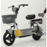 Electric Scooter Factory - 48V China Made Adult