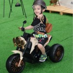 Ride On Car Manufacturer - 2 Seats Licensed Adults