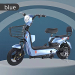 Electric Bike Manufacturer - 48V Long Range 2 Seats