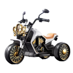 Kids Electric Motorcycle Manufacturer - 2 Seater Three-wheel