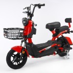 Electric Tricycle Factory - Closed Cargo Shed Load