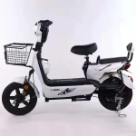 Electric Bicycle Manufacturer - Two Person Self-propelled
