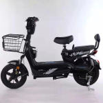 Electric Bicycle Manufacturer - Two Person Self-propelled