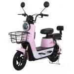 Electric City Bike Manufacturer - Comfortable Stable 18+