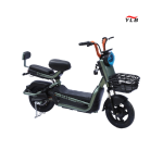 Electric Bike Manufacturer - 14 Inch 500W Brushless Motor