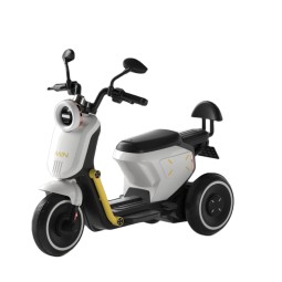 Electric Motorcycle Manufacturer - Remote-controlled Car