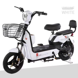 Electric Bike Manufacturer - 48V Long Range 2 Seats