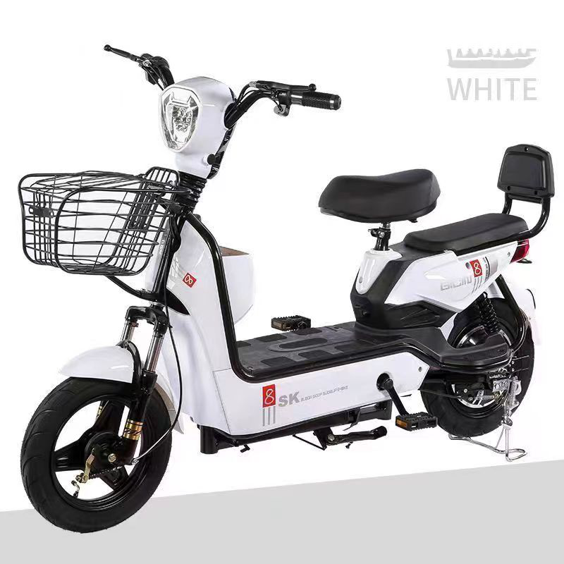 Electric Bike Manufacturer - 48V Long Range 2 Seats