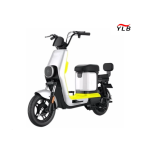 Electric Bike Manufacturer - 100W Folding Fat Tire Adult