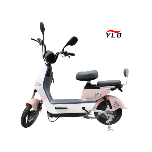 Electric Folding Bike Factory - Two Wheel Fat Tire 350W
