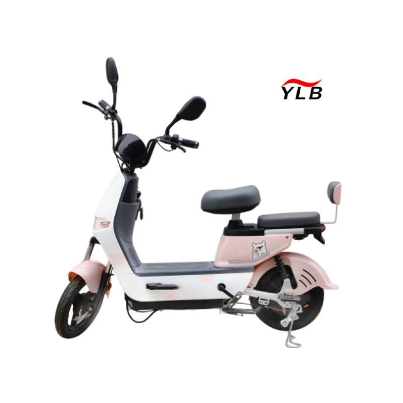 Electric Folding Bike Factory - Two Wheel Fat Tire 350W
