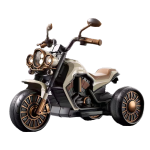 Kids Electric Motorcycle Manufacturer - 2 Seater Three-wheel