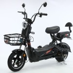 Electric Tricycle Factory - Closed Cargo Shed Load