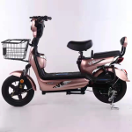 Electric Bicycle Manufacturer - Two Person Self-propelled