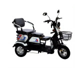 Adult Electric Car Manufacturer - Lightweight City Mobility