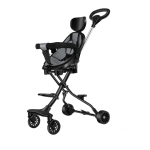 Electric Tricycle Manufacturer - 14 Inch 800W Removable