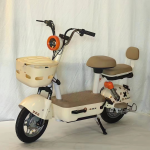 Electric Scooter Factory - 48V China Made Adult