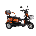 Adult Electric Car Manufacturer - Lightweight City Mobility