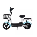 Electric Bike Manufacturer - 350W Integrated Battery