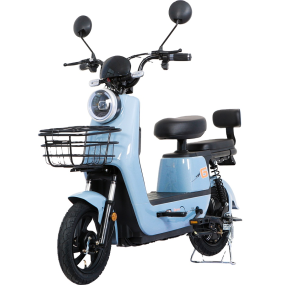 Electric City Bike Manufacturer - Comfortable Stable 18+