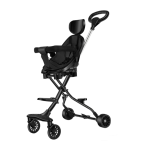 Electric Tricycle Manufacturer - 14 Inch 800W Removable