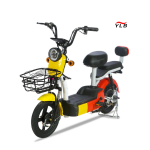 Electric City Bike Manufacturer - 48V Hub Motor Steel Frame