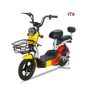 Electric City Bike Manufacturer - 48V Hub Motor Steel Frame